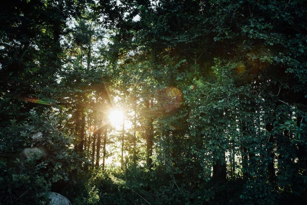 킬게티 The Little Retreat, Pembrokeshire 아파트 외부 사진